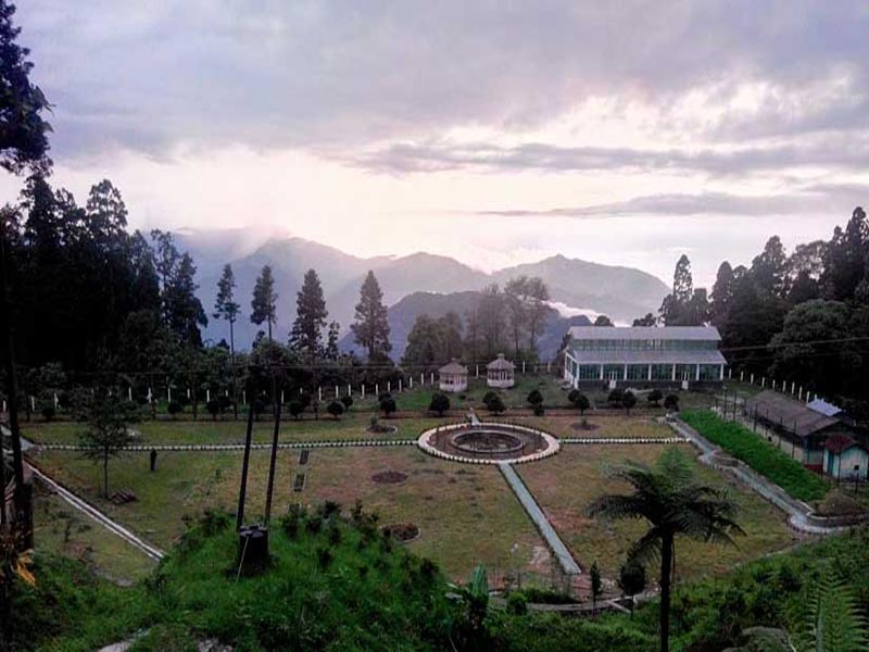 Takdah Orchid Centre- Shiwani Homestay